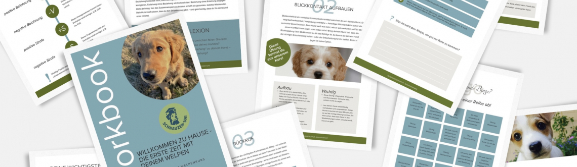 Workbooks