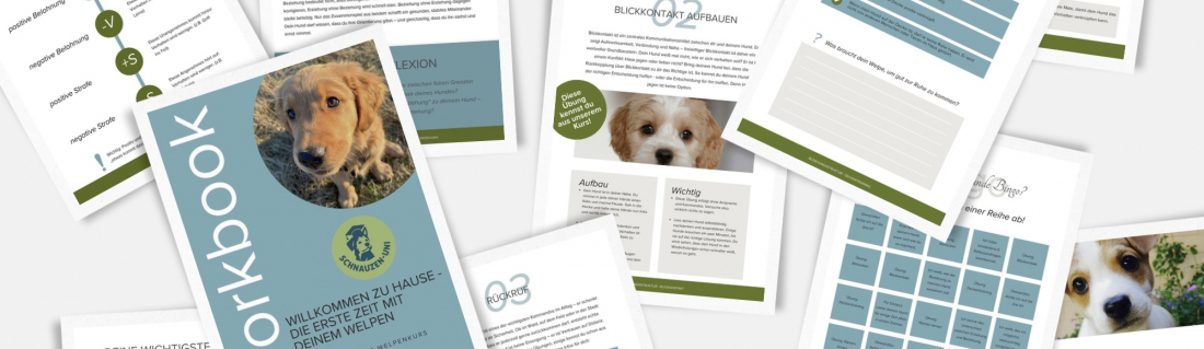 Workbook - Begleitbuch zum Welpenkurs